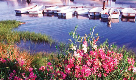 Beautiful Cape Cod Scenery